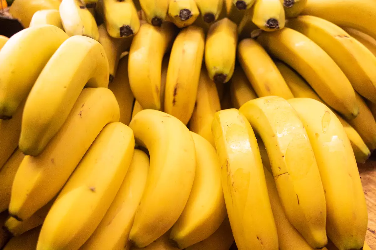 Banane canvendish bio