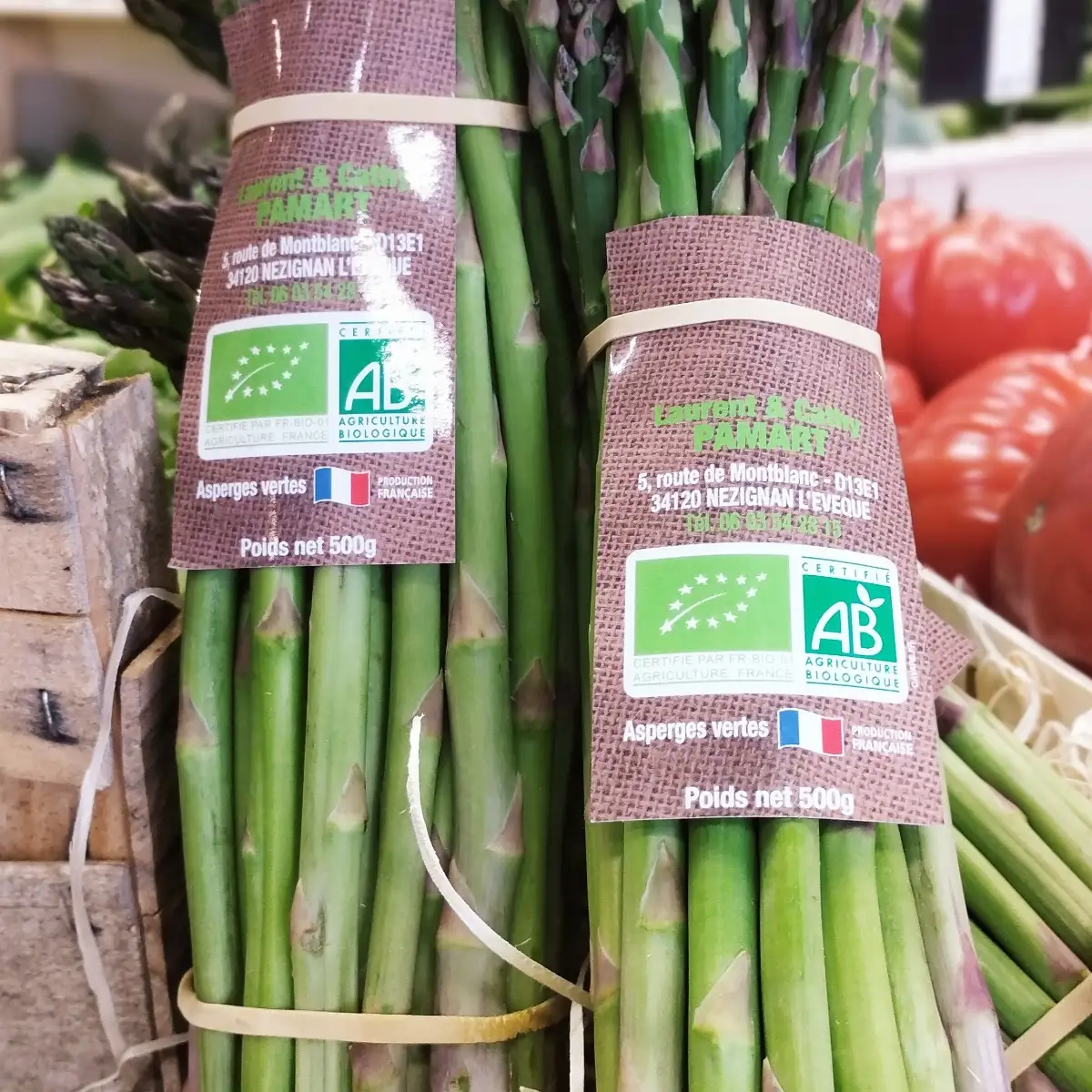 Asperges Vertes botte bio
