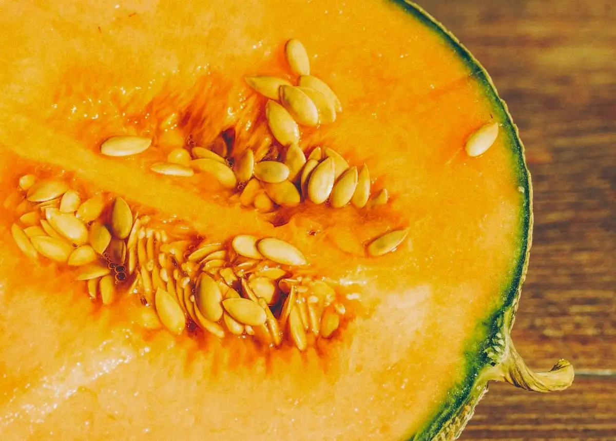 Melon charentais petit calibre bio