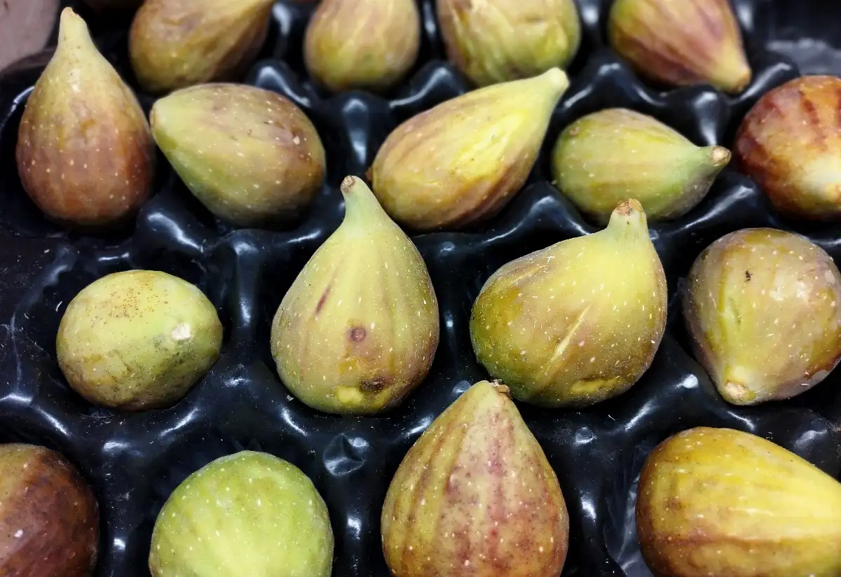 Figues vertes bio
