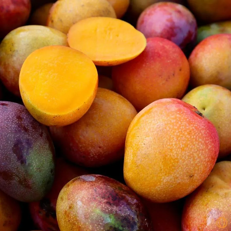 Mangue Irwin bio