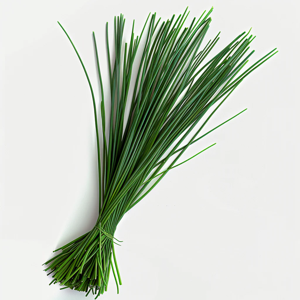 Ciboulette bio copie