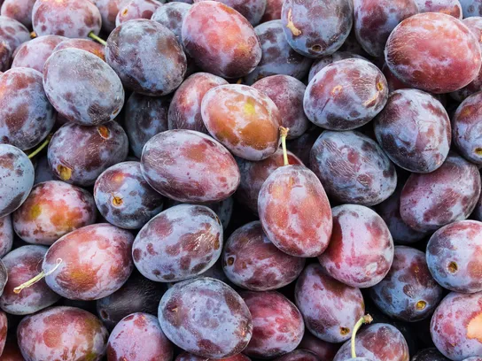 Prunes Président
