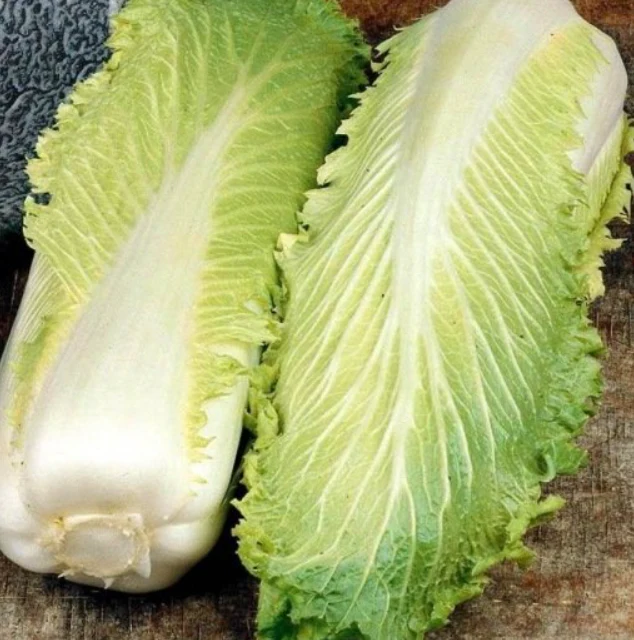 Chou chinois Pé tsaï