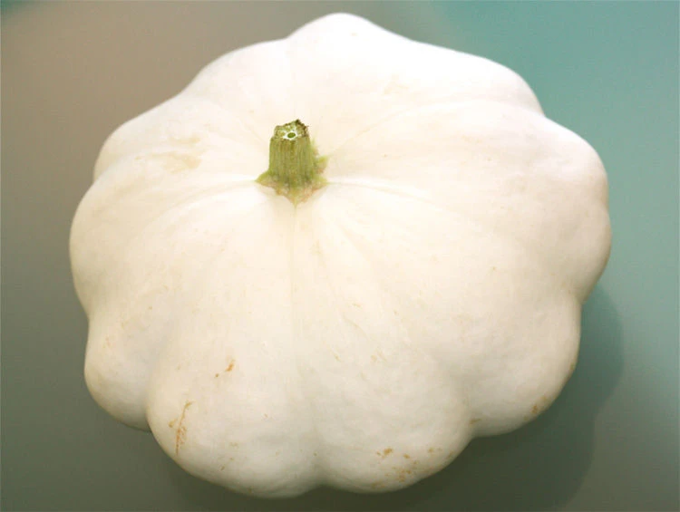 Courge Pâtisson bio