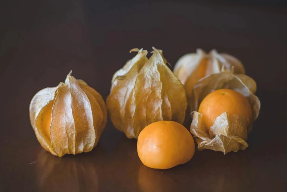 Physalis bio