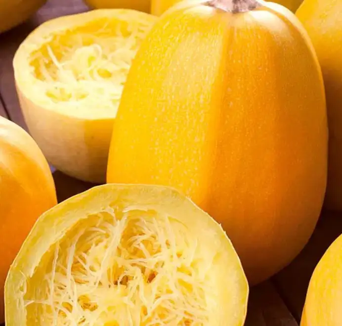 Courge Spaghetti Bio