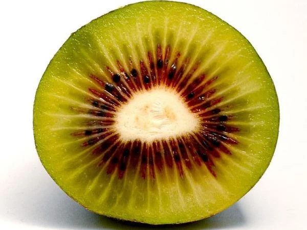 Kiwi rouge bio