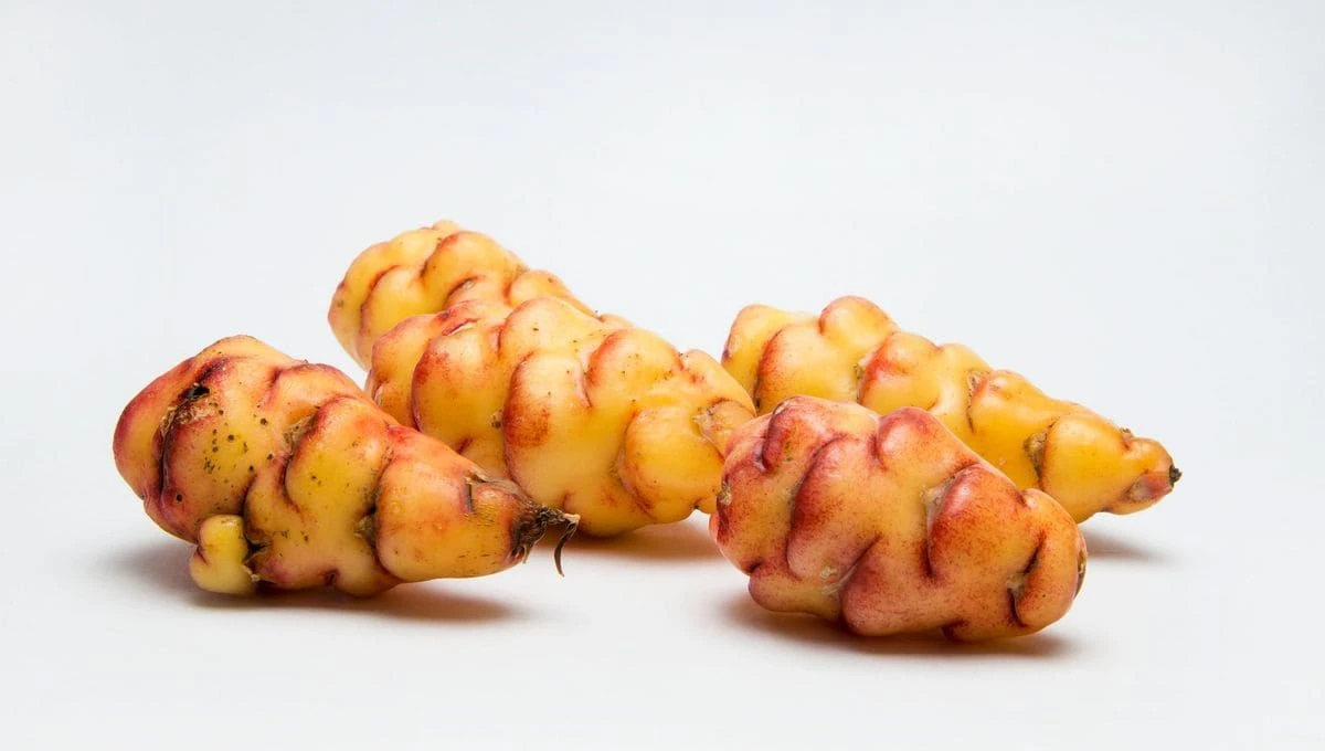 Oca du Pérou Bio
