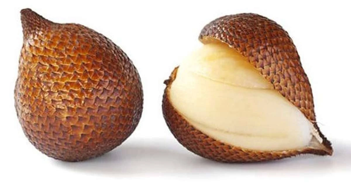 Fruit du Serpent bio